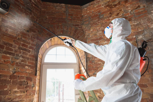  University Of Lifornia Davis, CA Mold Removal Pros